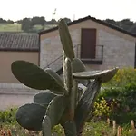Kamp alanı Il Carrubo House