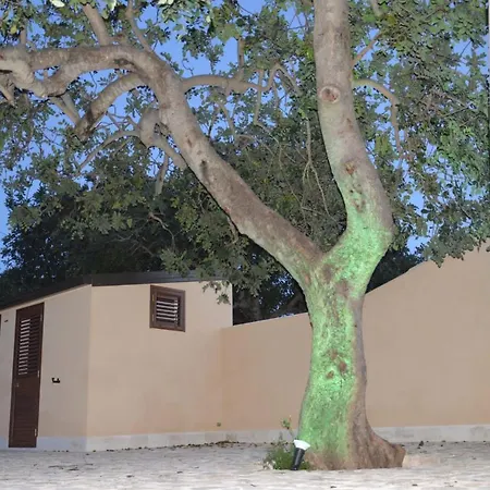 Il Carrubo House Camping *
