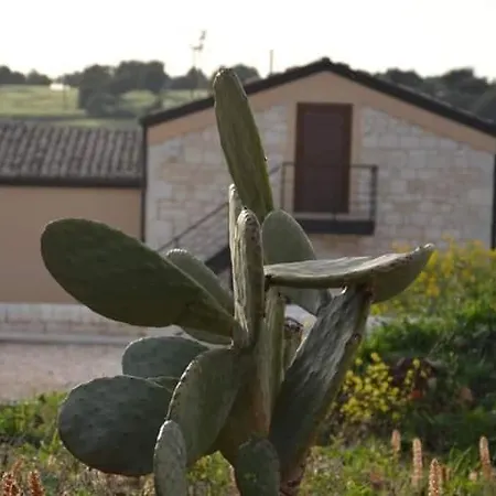 Campsite Il Carrubo House