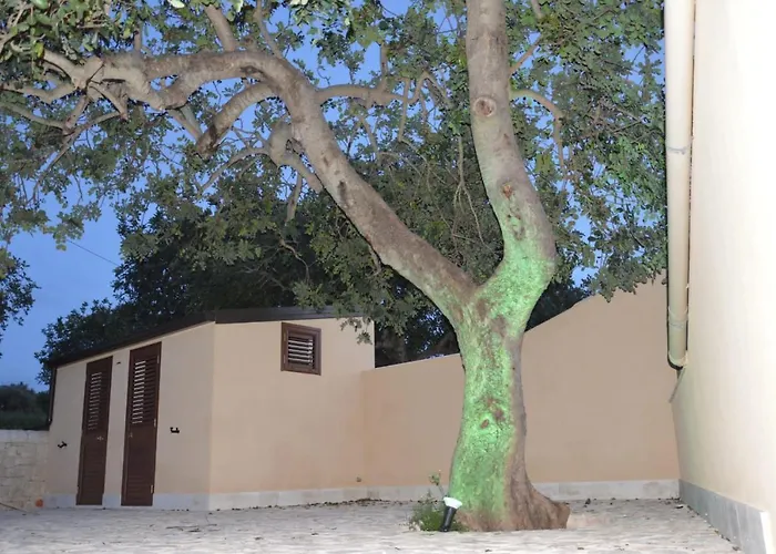 Il Carrubo House Camping *